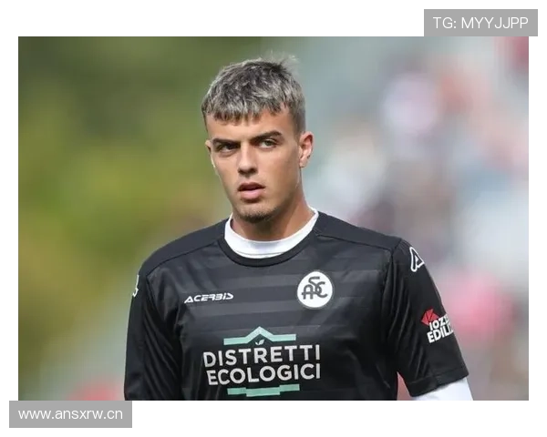 马尔蒂尼比赛影响指数