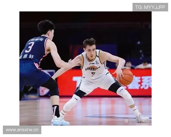 犯规控制与防守效率：帕利尼亚的比赛特点