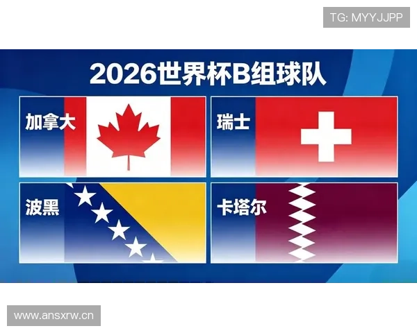 世界杯B组波黑晋级前景全面分析